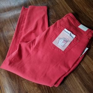 Curve Appeal Skinny Jean 16w